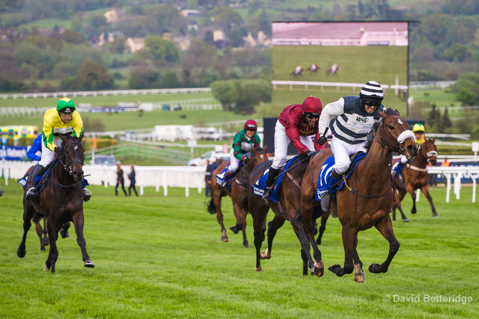 The 2017 Pertemps Champions Willberry Charity Race, Cheltenham